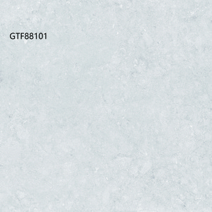 GTF88101
